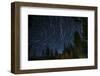 Time Lapse Photograph Showing Star Trails Above the Forest Near Lake Tahoe, California-James White-Framed Photographic Print