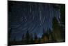 Time Lapse Photograph Showing Star Trails Above the Forest Near Lake Tahoe, California-James White-Mounted Photographic Print