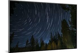 Time Lapse Photograph Showing Star Trails Above the Forest Near Lake Tahoe, California-James White-Mounted Photographic Print