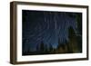 Time Lapse Photograph Showing Star Trails Above the Forest Near Lake Tahoe, California-James White-Framed Photographic Print
