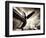 Time Machine-Stephen Arens-Framed Photographic Print