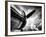 Time Machine-Stephen Arens-Framed Photographic Print