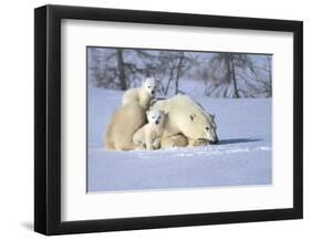 Time Out-Art Wolfe-Framed Art Print