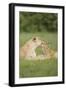 Time Out-Susann Parker-Framed Premium Photographic Print