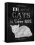 Time Spent with Cats-Tina Lavoie-Framed Stretched Canvas