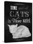 Time Spent with Cats-Tina Lavoie-Stretched Canvas