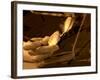 Time to Read-Nathan Wright-Framed Photographic Print