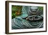 Time to Slow Down-null-Framed Premium Photographic Print