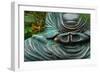 Time to Slow Down-null-Framed Premium Photographic Print