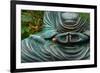 Time to Slow Down-null-Framed Photographic Print