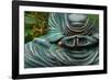 Time to Slow Down-null-Framed Photographic Print