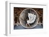 Time Traveller-Ben Heine-Framed Photographic Print