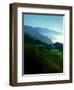 Timeless Big Sur-Jody Miller-Framed Photographic Print