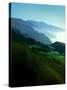 Timeless Big Sur-Jody Miller-Stretched Canvas