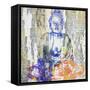 Timeless Buddha II-Surma & Guillen-Framed Stretched Canvas