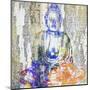 Timeless Buddha II-Surma & Guillen-Mounted Art Print