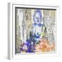 Timeless Buddha II-Surma & Guillen-Framed Art Print