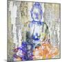 Timeless Buddha II-Surma & Guillen-Mounted Art Print