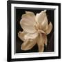 Timeless Grace II-Charles Britt-Framed Giclee Print