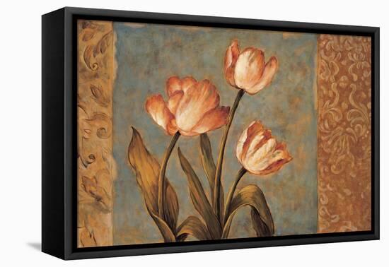 Timeless II-Diane Harper-Framed Stretched Canvas