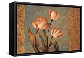 Timeless II-Diane Harper-Framed Stretched Canvas