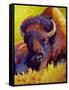 Timeless Spirit Bison-Marion Rose-Framed Stretched Canvas