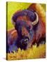 Timeless Spirit Bison-Marion Rose-Stretched Canvas