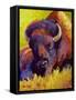 Timeless Spirit Bison-Marion Rose-Framed Stretched Canvas