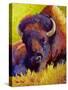 Timeless Spirit Bison-Marion Rose-Stretched Canvas