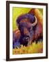 Timeless Spirit Bison-Marion Rose-Framed Giclee Print