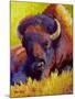 Timeless Spirit Bison-Marion Rose-Mounted Giclee Print