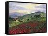 Timeless Tuscany-Scott Westmoreland-Framed Stretched Canvas