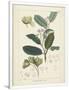 Gramercy White