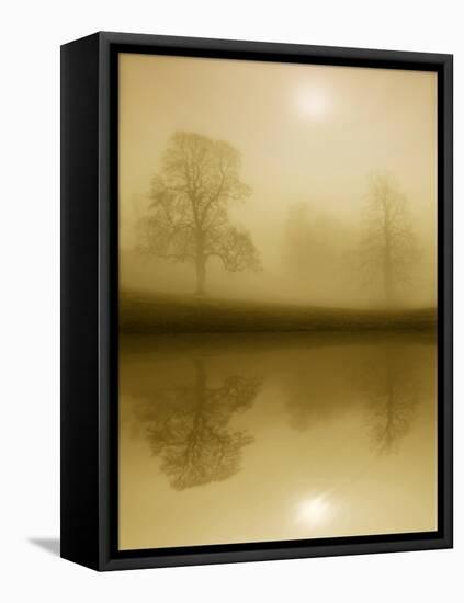 Timeless Winter-Adrian Campfield-Framed Stretched Canvas