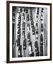 Times Past III-The Chelsea Collection-Framed Giclee Print