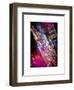 Times Square 42nd Street by Night-Philippe Hugonnard-Framed Art Print