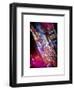 Times Square 42nd Street by Night-Philippe Hugonnard-Framed Art Print