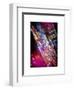 Times Square 42nd Street by Night-Philippe Hugonnard-Framed Art Print