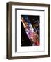 Times Square 42nd Street by Night-Philippe Hugonnard-Framed Art Print