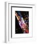 Times Square 42nd Street by Night-Philippe Hugonnard-Framed Art Print