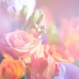 Beautiful Flowers Made with Color Filters, Floral Background-Timofeeva Maria-Art Print