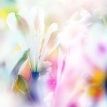 Beautiful Flowers Made with Color Filters and Textures-Timofeeva Maria-Art Print