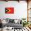 Timor-Leste Flag Design with Wood Patterning - Flags of the World Series-Philippe Hugonnard-Art Print displayed on a wall