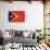 Timor-Leste Flag Design with Wood Patterning - Flags of the World Series-Philippe Hugonnard-Framed Stretched Canvas displayed on a wall