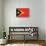 Timor-Leste Flag Design with Wood Patterning - Flags of the World Series-Philippe Hugonnard-Stretched Canvas displayed on a wall