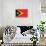 Timor-Leste Flag Design with Wood Patterning - Flags of the World Series-Philippe Hugonnard-Stretched Canvas displayed on a wall