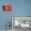 Timor-Leste Flag Design with Wood Patterning - Flags of the World Series-Philippe Hugonnard-Stretched Canvas displayed on a wall