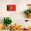 Timor-Leste Flag Design with Wood Patterning - Flags of the World Series-Philippe Hugonnard-Mounted Art Print displayed on a wall