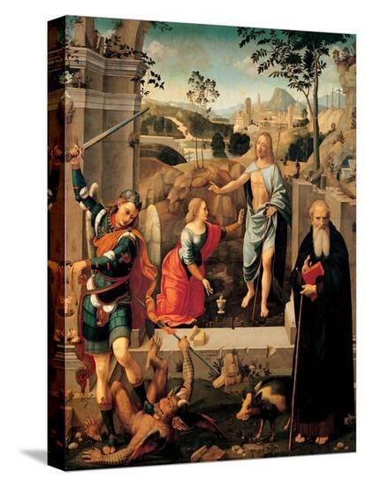 Stretched Canvas Print, , large