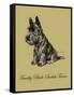 Timothy Black-Scottish Terrier-Lucy Dawson-Framed Stretched Canvas